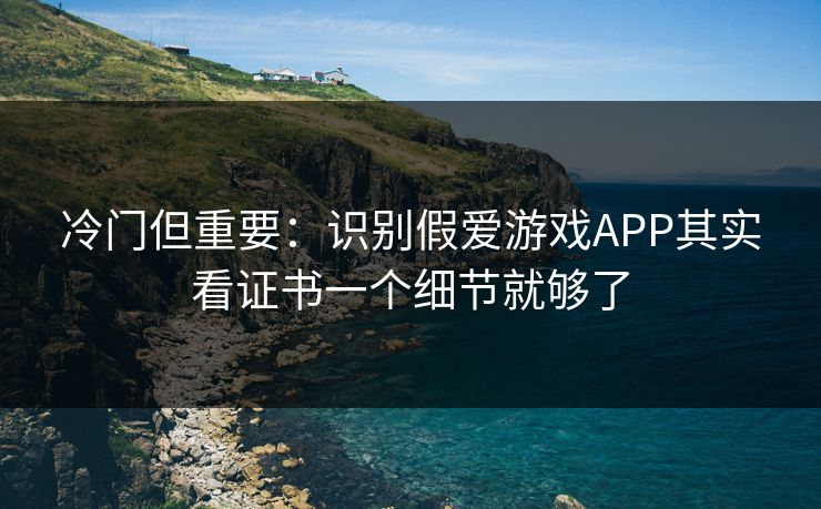 冷门但重要：识别假爱游戏APP其实看证书一个细节就够了