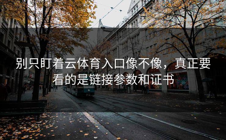 详细阅读:别只盯着云体育入口像不像,真正要看的是链接参数和证书 别只盯着云体育入口像不像,真正要看的是链接参数和证书